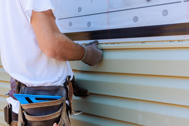 Affordable Vinyl Siding solutions in Ripley, WV